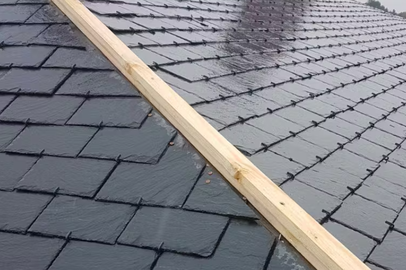 Leien dakbedekking aanleggen Alkmaar